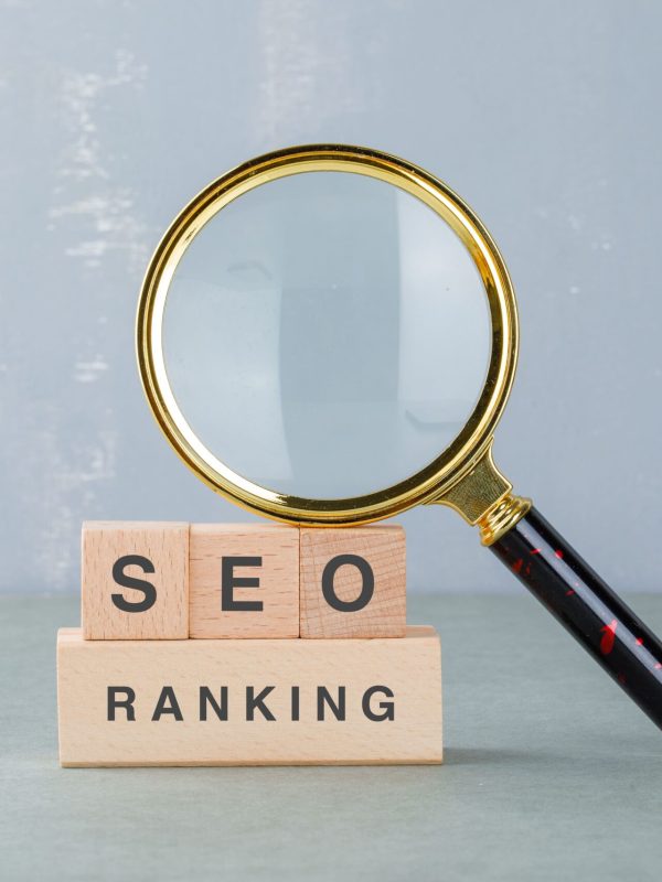 seo-ranking-posicionamiento-seo-la-garrotxa-girona